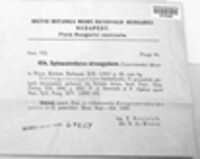 Sphacelotheca strangulans image